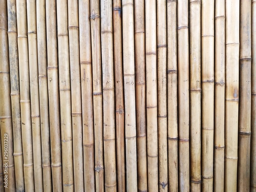 Horizontal row of dry bamboo stakes form a solid fence