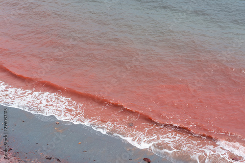 red waves on beach