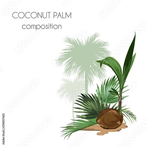 Cosmetic packaging template. Coconut nut oil beauty product.  Exotic botanical design for cosmetics, spa, perfume, health care products, aroma, wedding invitation. With place for text.