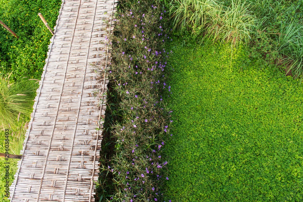 The walkway was constructed with bamboo. With lush green bushes