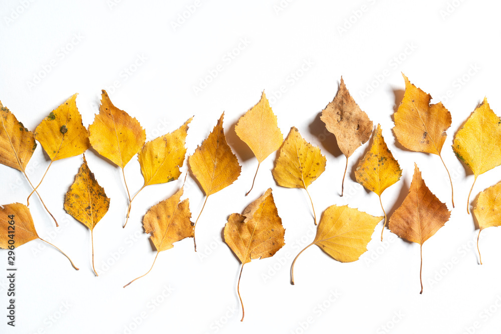 Naklejka premium Dry leaves