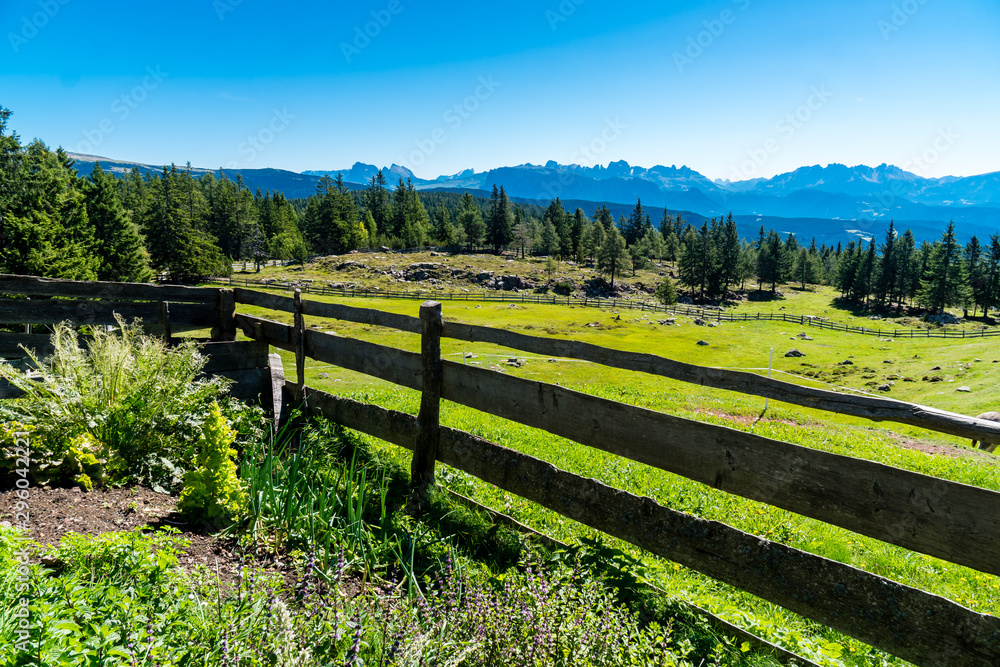 Kleiner Gemüsegarten auf einer Alm mit Holzzaun, Wiese und Weitblick in die Südtiroler Dolomiten Bergwelt