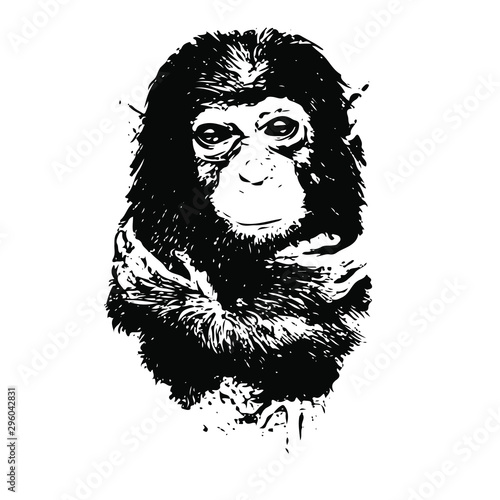  Hand drawn Monkey. Natural colors. Illustration. Isolated on white background