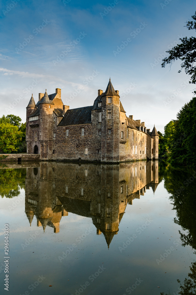 vertical view of historic Chateau Trecesson castle in the Broceliande Forest with reflections in the pond