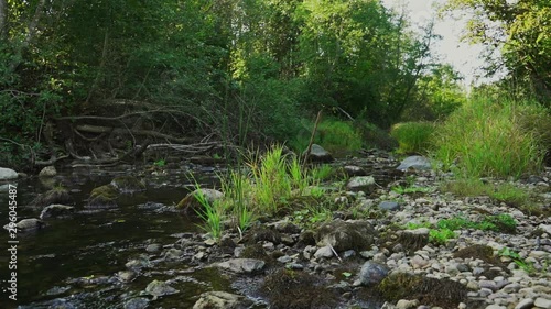 Wallpaper Mural Steadicam shot of river flowing through summer forest at sunset. Nature landscape. Slow motion footage. Torontodigital.ca