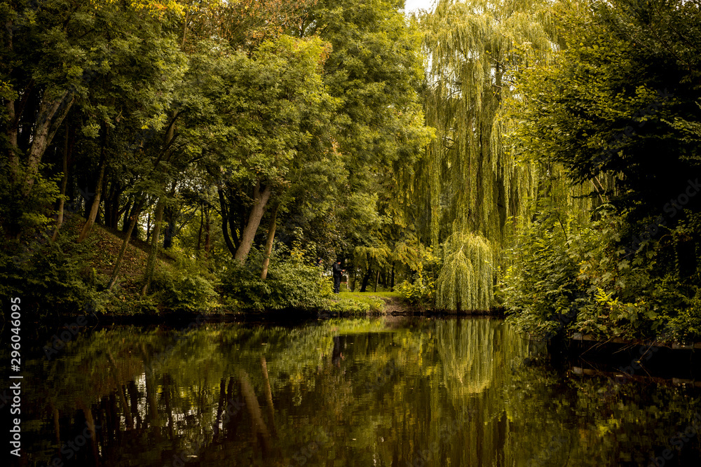 Autumn panorama reflected on water