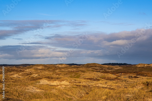 Die D  nen bei Egmond aan Zee NL