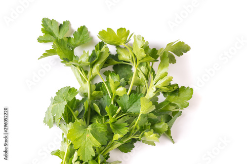 bunch of organic fresh parsley with copy space