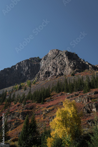 Altai mountain in autumn color