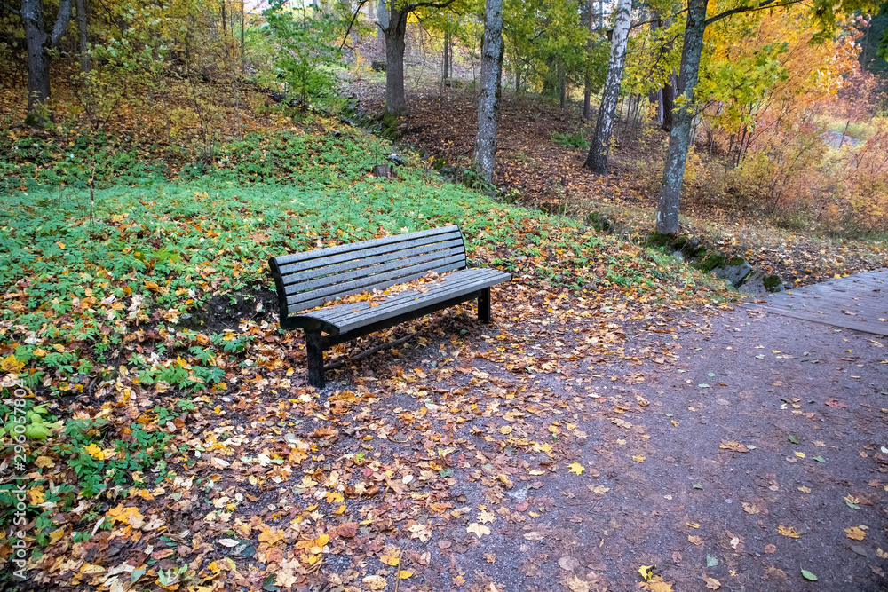 empty bench in a autumnal city park empty bench in a autumnal city park