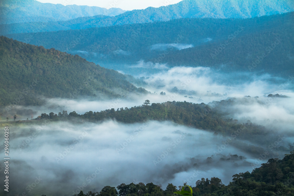 fog in mountains