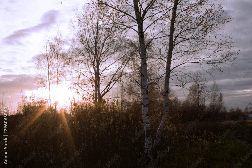 Sunset rays 