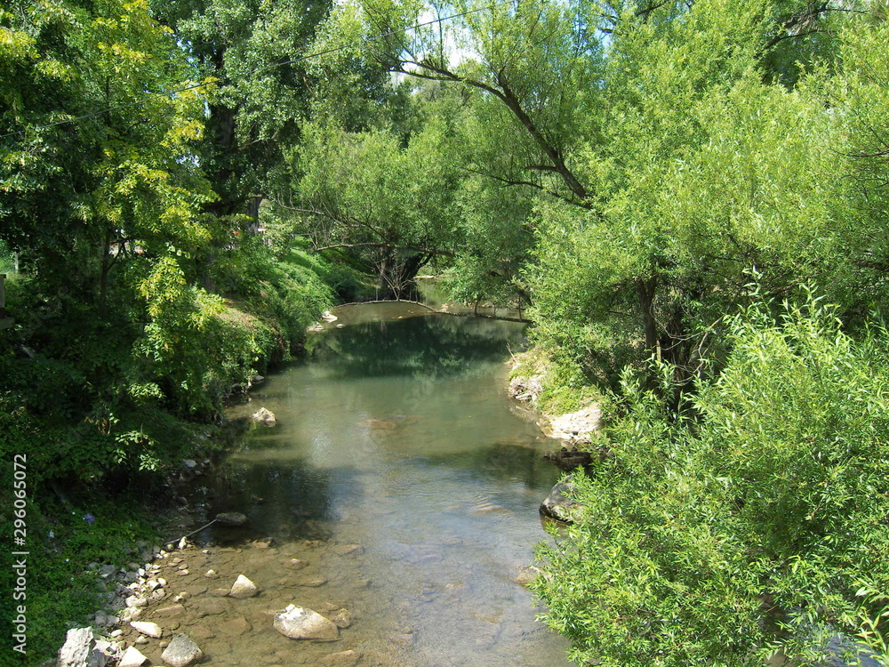 River Gradac Valjevo summer vegetation River Gradac Valjevo summer vegetation