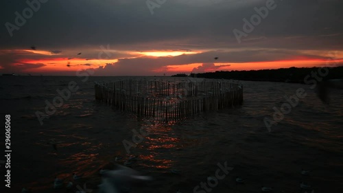 Beautiful sunset with flock of seagulls flying over the sky