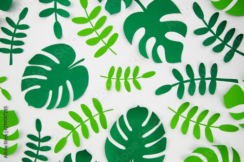 Tropical monstera plants in the style of cut paper