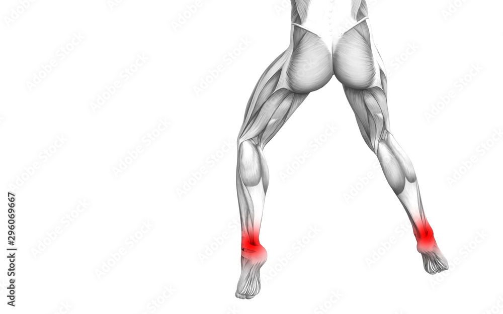 Conceptual ankle human anatomy with red hot spot inflammation or articular joint pain for leg health care therapy or sport muscle concepts. 3D illustration man arthritis or bone osteoporosis disease Conceptual ankle human anatomy with red hot spot inflammation or articular joint pain for leg health care therapy or sport muscle concepts. 3D illustration man arthritis or bone osteoporosis disease