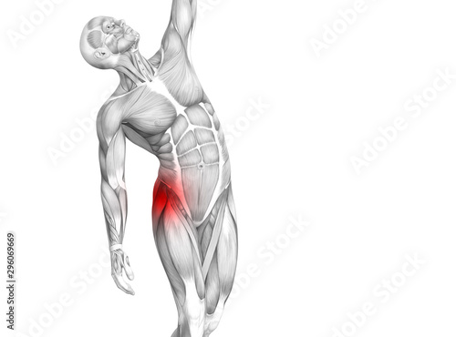Fototapeta Naklejka Na Ścianę i Meble -  Conceptual hip human anatomy with red hot spot inflammation articular joint pain for leg health care therapy or sport muscle concepts. 3D illustration man arthritis or bone sore osteoporosis disease