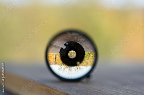 Garden view through camera lanes