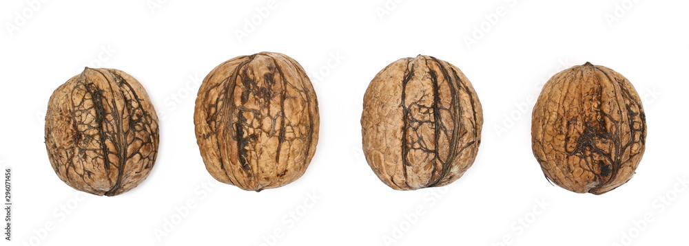 Walnuts set and collection isolated on white background, top view Walnuts set and collection isolated on white background, top view
