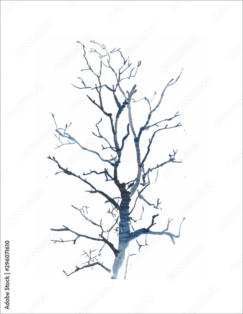 Fototapeta premium school of trees-1. it is my own picture I draw sitting in the forest. do I really need a permission? I have many such works, and it would be difficult to make a document about each of them. 