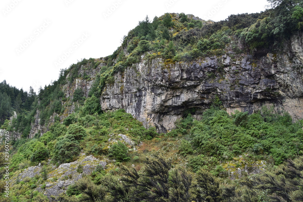 Obraz premium The Cliff in New Zealand