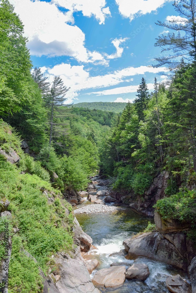 River River