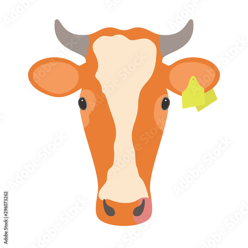 The red cattle with one yellow label on its ear is isolated on white background.
