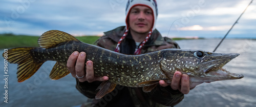 Young amateur angler holds the Pike fish (Esox lucius) in his hands being on the lake