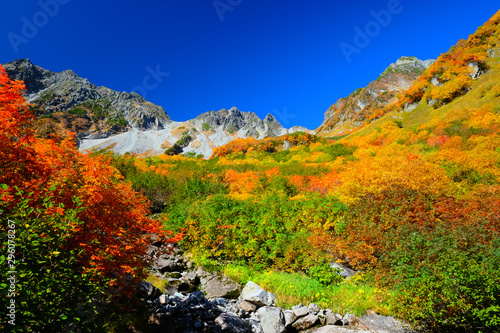 今年の涸沢紅葉