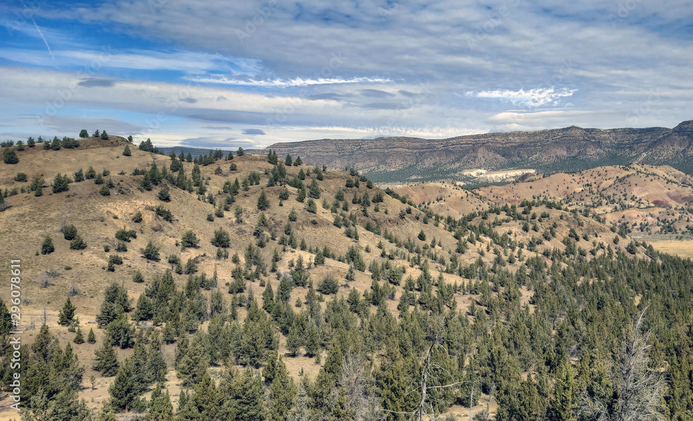 Magnificent views of extended prairie, rolling hills and vast canyons in the unspoiled beauty ot the Sutton Mountain Wilderness Study Area outside the rustic town of Mitchell, Oregon.