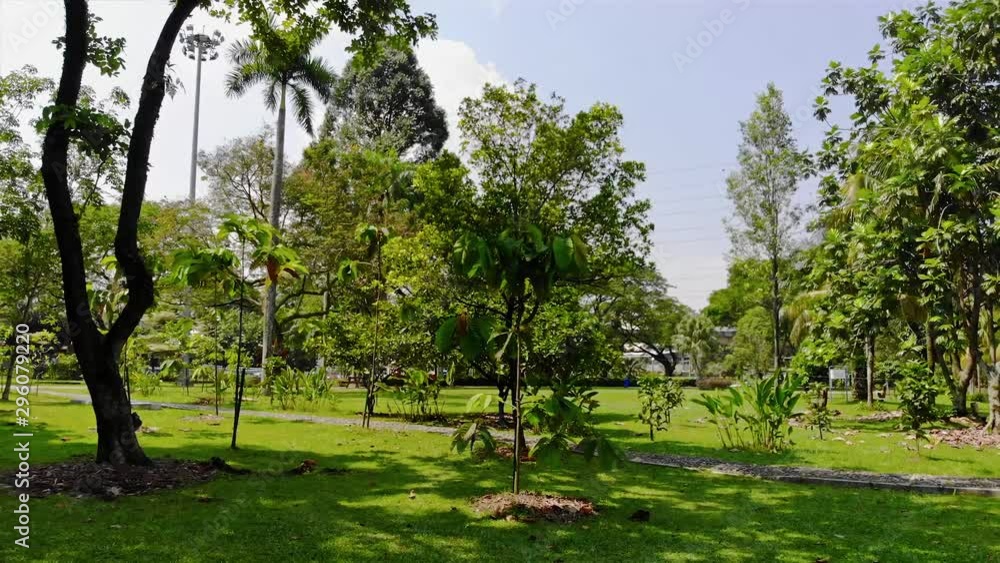 Green Park Full of Trees and Stone Roads in Malaysia City - Backwards Green Park Full of Trees and Stone Roads in Malaysia City - Backwards