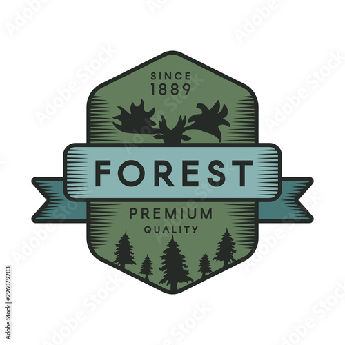 Forest color logo template photo