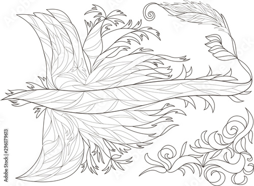 Coloring of firebird