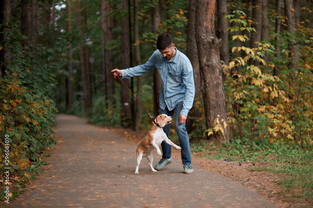 cheerful young man having fun with dog in the autumn forest, friendship, entertainment. full length photo