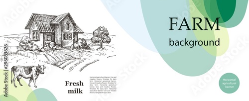 Cow and village house. An example of a backdrop for cattle farm.