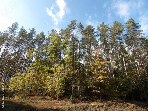 Fototapeta Naklejka Na Ścianę i Meble -  KODAK Digital Still Camera