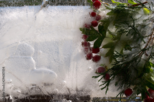 Background of red berry of hawthorn and twif of juniper  frozen in ice photo