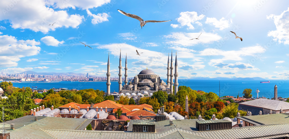 Sultan Ahmet or the Blue Mosque and the Bosphorus Straight in the background, Istanbul panorama