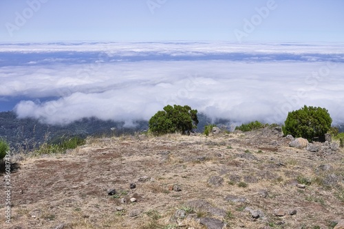 Panoramic view of a desertic place with shrubs above clouds (Madeira, Portugal, Europe) © Tommaso