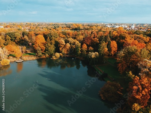 autumn landscape with lake and trees