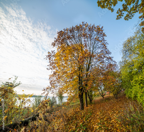 Beautiful autumn landscape near water body in the morning