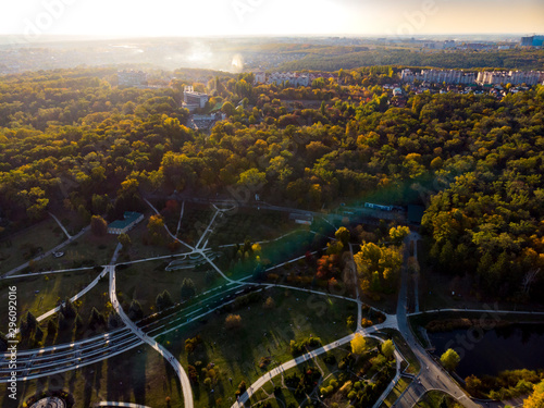 Autumn forest aerial drone view