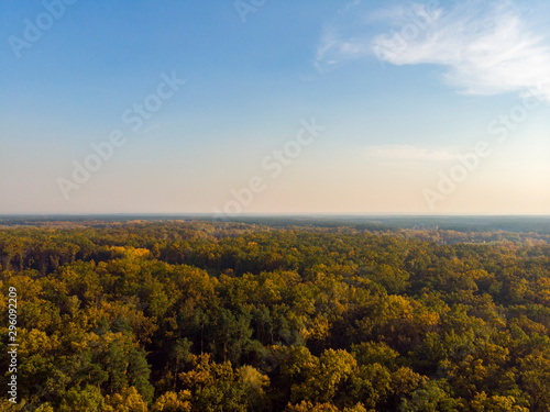 Autumn forest aerial drone view