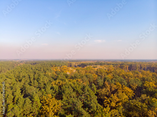Fototapeta Naklejka Na Ścianę i Meble -  Autumn forest aerial drone view