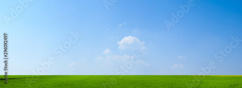 sky and green field background panorama
