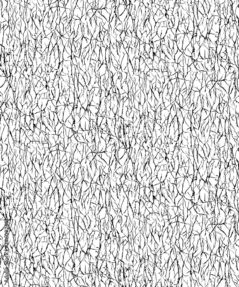 Fototapeta premium The Monochrome texture. Image includes a effect the black and white tones. Design for packing wallpaper and other design