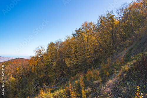 Colorful autumn forest on the mountain slopes
