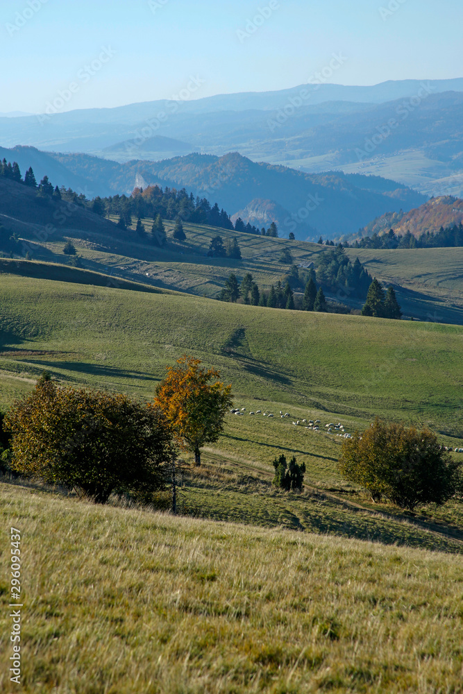 autumn landscape of Pieniny Mountains, Szczawnica, Poland