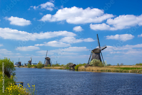 rural lanscape with windmills at famous tourist site Kinderdijk in Netherlands © Mira Drozdowski