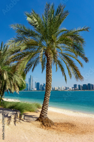 Fototapeta Naklejka Na Ścianę i Meble -   Palm tree sea and skyscrapers in Abu Dhabi